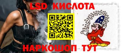 индика Рыбинск