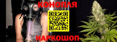стафф Берёзовский