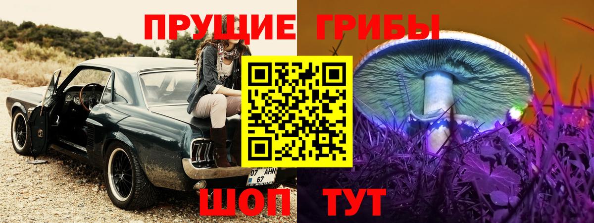 Галлюциногенные грибы GOLDEN TEACHER Каменка